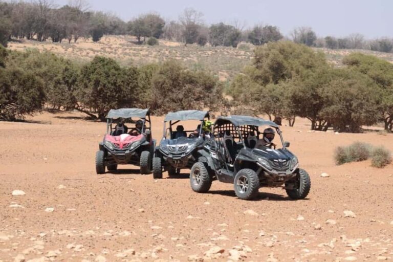 Agadir: Buggy Tour with Hotel Pick up - How the Tour Is Structured