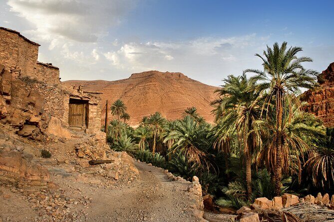 Agadir by Night: A Magical Evening - Exploring the Itinerary in Detail