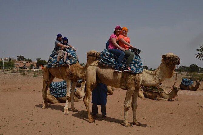 Agadir Camel Ride Experience - Authenticity and Value