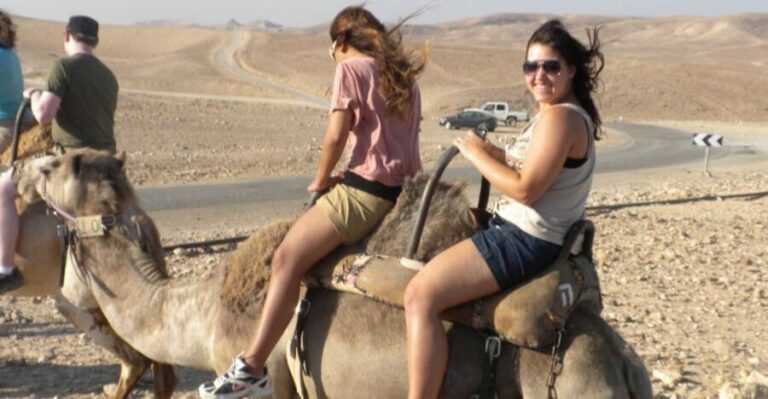 Agadir Camel Ride Flamingo River & BBQ Dinner - Analyzing the Value