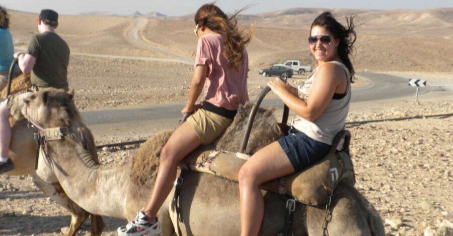 Agadir Camel Ride Flamingo River & BBQ Dinner - Analyzing the Value