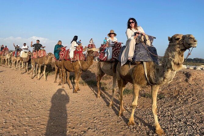 Agadir Camel Ride with BBQ and Couscous - Authenticity and Cultural Flavor