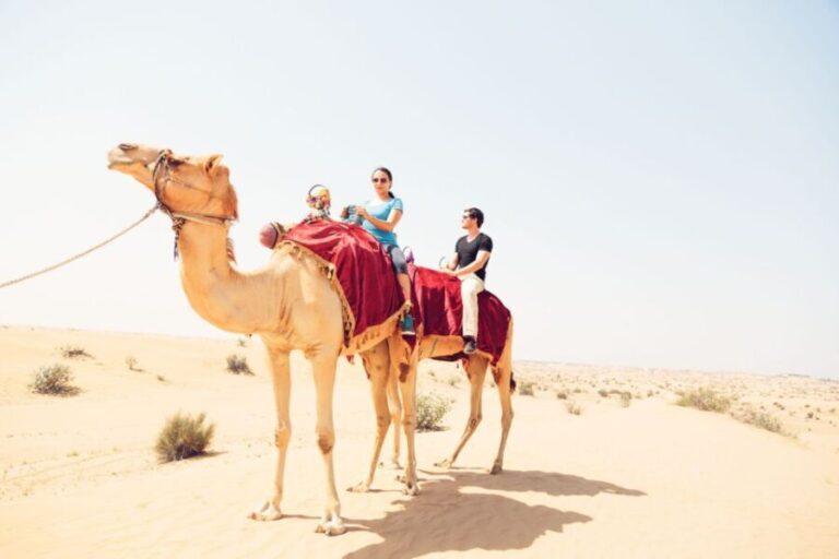Agadir: Camel Ride With Tea - What’s Included and Why It Matters