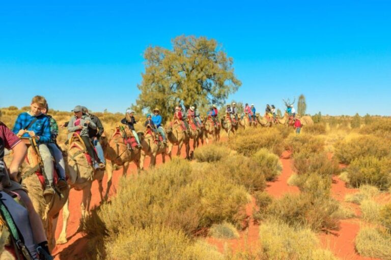 Agadir: Camel Ride With Tea & BBQ Dinner Option - The Scenic Ride: Views and Wildlife