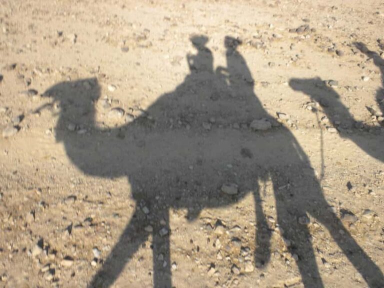 Agadir: Camel Ride With Tea & BBQ Dinner Option - The Sum Up