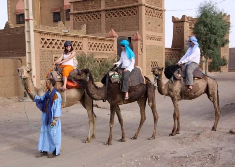 Agadir: Camel Ride With Tea & BBQ Dinner Option - Scenic Highlights and Photo Opportunities