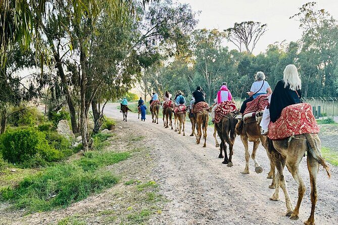 Agadir Camel Riding and flamingo river tour - Why This Tour Offers Good Value