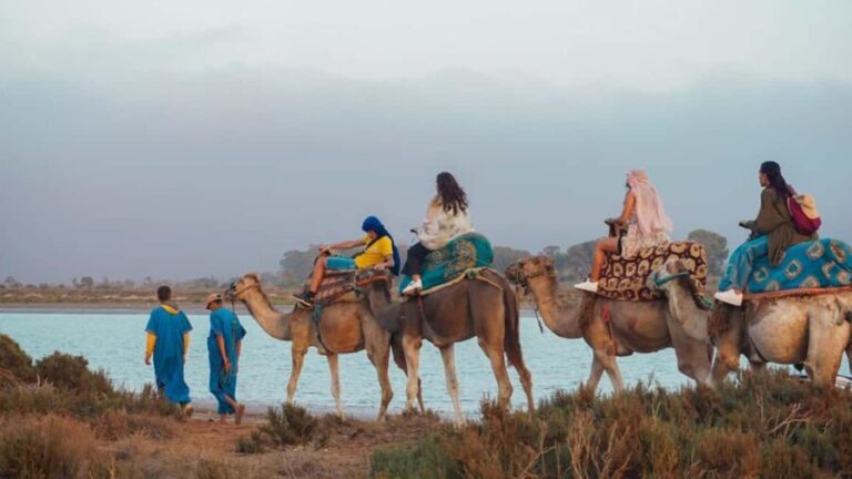 Agadir: Camel Riding Tour with Tea Drink - The Landscape and Setting