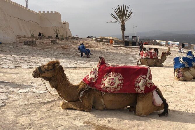Agadir City Tour - Half Day - Who Will Love This Tour?