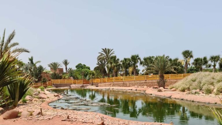Agadir: Crocoparc Entry Ticket with Transfers, Guide, & Tea - Final Thoughts