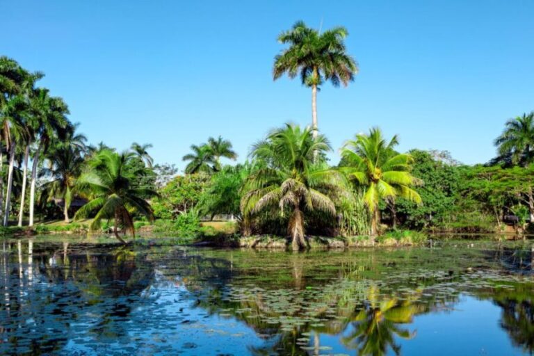 Agadir Crocoparc: Ticket and Transfer - What Makes Crocoparc Special