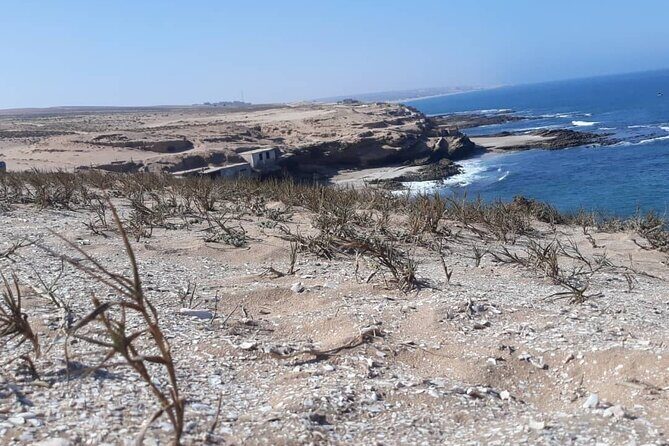 Agadir Day Excursion to Mini Sahara safari National Park Souss Massa by 4x4 - Transport and Group Size – What Does That Mean for You?