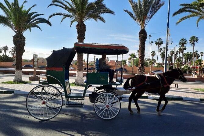 Agadir Day Trip to Taroudant and Tiout Oasis with Lunch - Transportation & Group Size