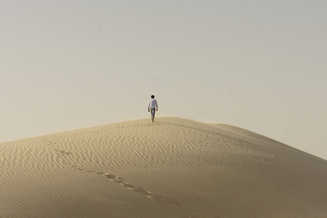 Agadir Desert Safari Day Trip with Lunch and Agadir City Tour - What We Loved About the Tour
