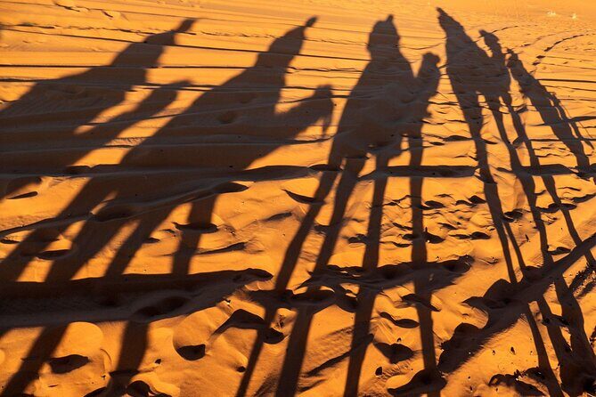 Agadir Desert Trip With Lunch - An Easy Introduction to the Sahara’s Big Dunes