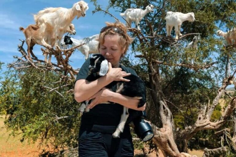 Agadir: Discover Argan Tree-Climbing Goats on a Morning Tour - Practical Tips for Tour Participants