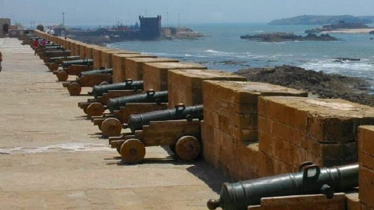 Agadir: Essaouira Guided Day Trip - Who This Tour Is Best For