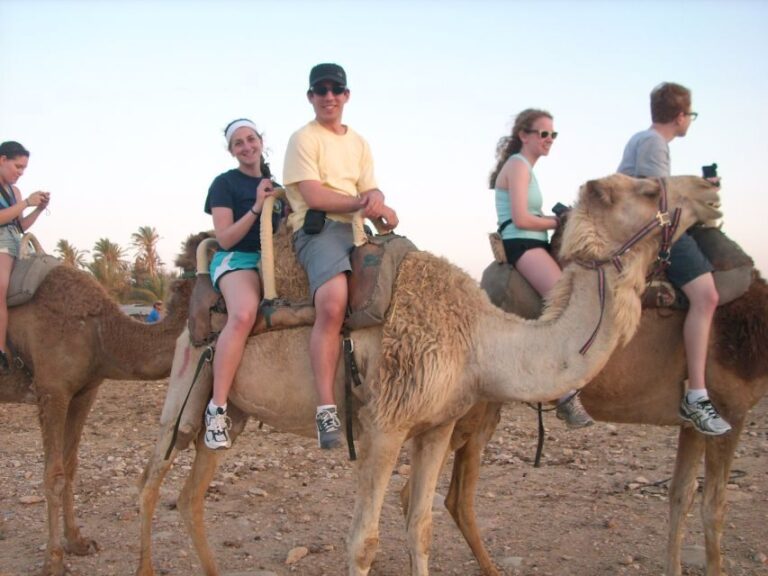 Agadir: Flamingo River Camel Ride w/Optional BBQ - The Food and Relaxation Segment