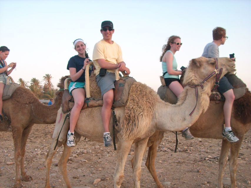 Agadir: Flamingo River Camel Ride w/Optional BBQ - The Food and Relaxation Segment