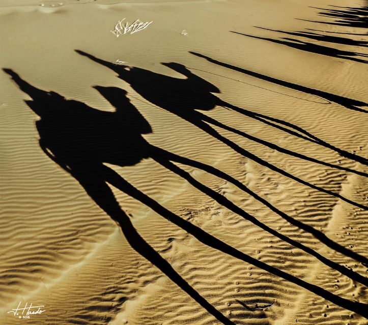 Agadir: Flamingo River Camel Ride with Optional BBQ Dinner - The Food & Beverage Experience