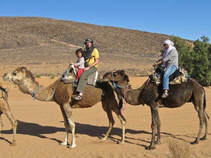 Agadir: Flamingo River Camel Ride - Discovering the Tour’s Itinerary and Experience