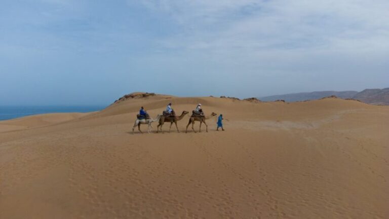 Agadir: Flamingo River Sunset Camel Ride with BBQ Diner - The Dinner: A Tasty Moroccan Meal