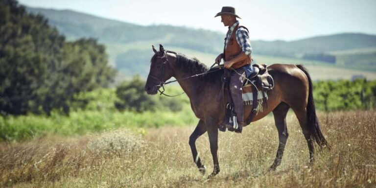 Agadir: Forest and Sand Dunes Guided Horse Riding - Why the Price is Right