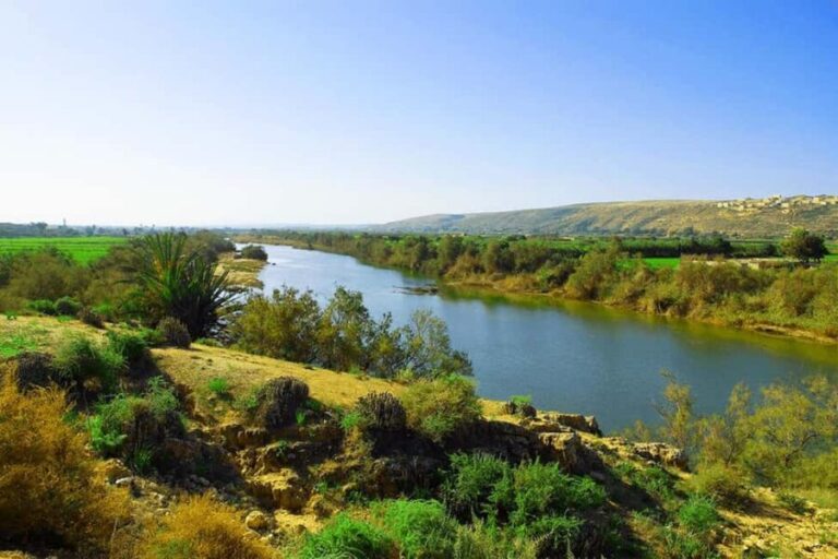 Agadir: Full-Day Quad Adventure to Massa River with Lunch - What Makes This Tour Great Value