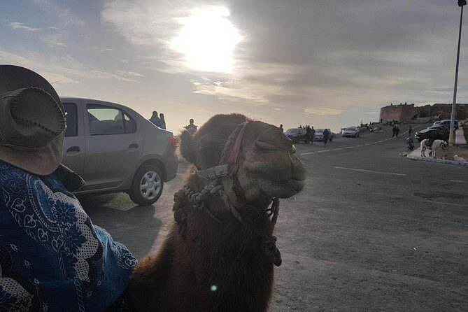 Agadir Guided City Tour Including Hotel pickup - Frequently Asked Questions