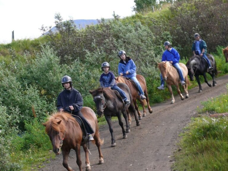 Agadir: Guided Horse Riding Along Flamingo River with Tea - The Practical Details