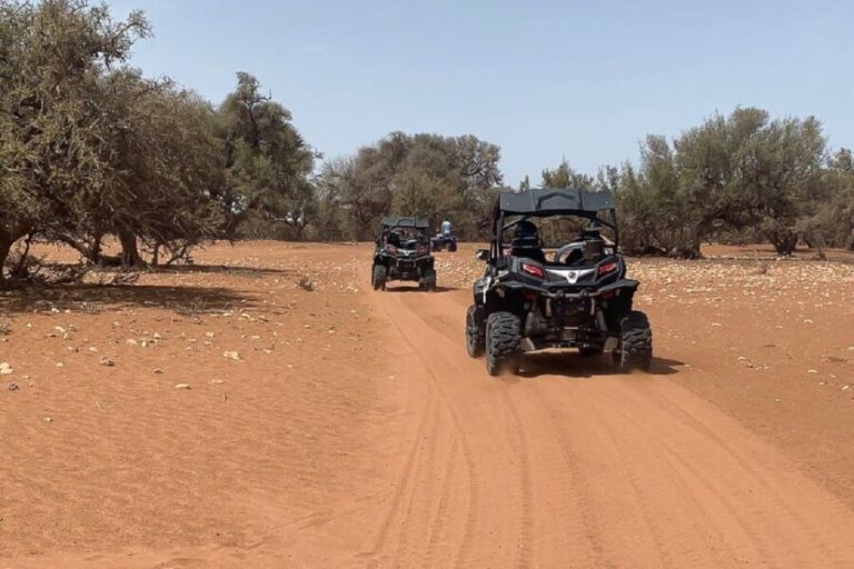 Agadir: Half-Day Desert Dunes Buggy Safari - The Buggies and the Experience