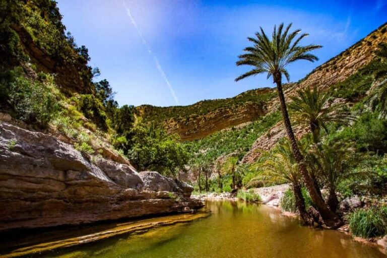 Agadir :Half day Paradise Valley & Atlas Mountains Tour - The Experience of Paradise Valley