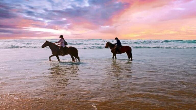 agadir: Horse Ride Tour with Traditional Lunch - Practical Details & Tips