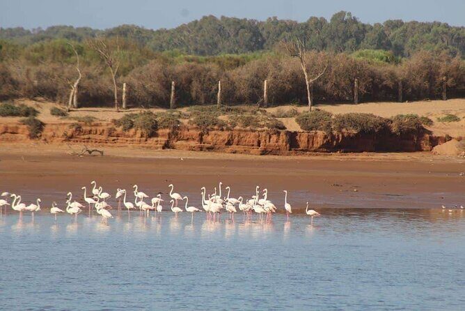 Agadir Jeep Safari Sahara Desert 4x4 Day Tour with Lunch - The Experience of Traveling with a Small Group