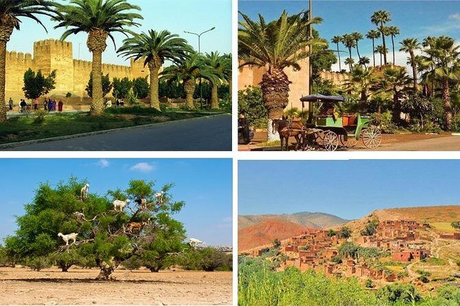 Agadir Morocco: Day Trip To Taroudant & Tiout Oasis with Lunch - The Itinerary and Its Highlights