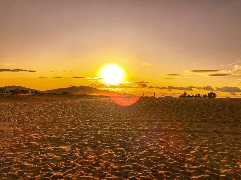 Agadir or Taghazout : Desert Sahara Sand Dunes With Transfer - The Sum Up