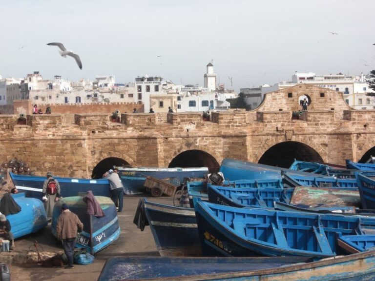Agadir or Taghazout Essaouira old city day Trip with guide - What Travelers Should Know