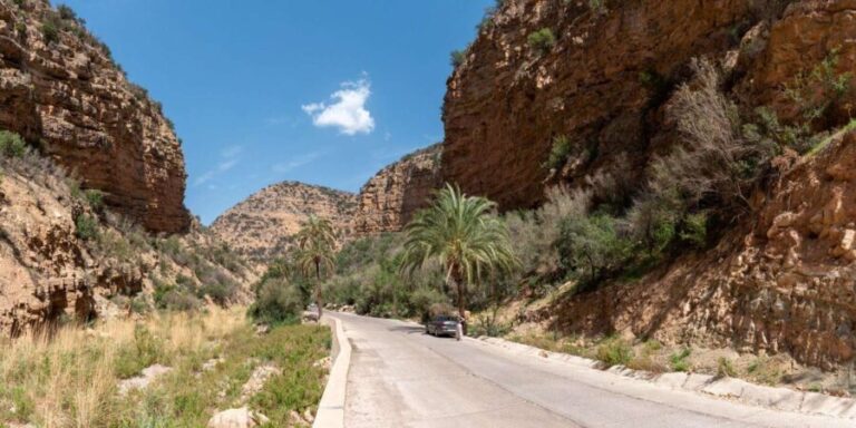Agadir or Taghazout: Paradise Valley Atlas Mountain Trip - How Does It Compare to Other Experiences?