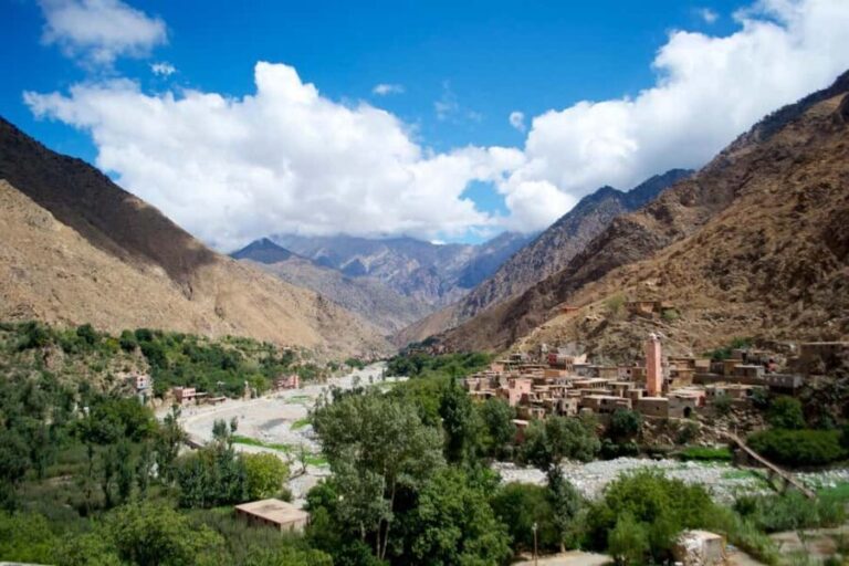 Agadir or Taghazout: Paradise Valley Atlas Mountains Tour - What Travelers Can Expect
