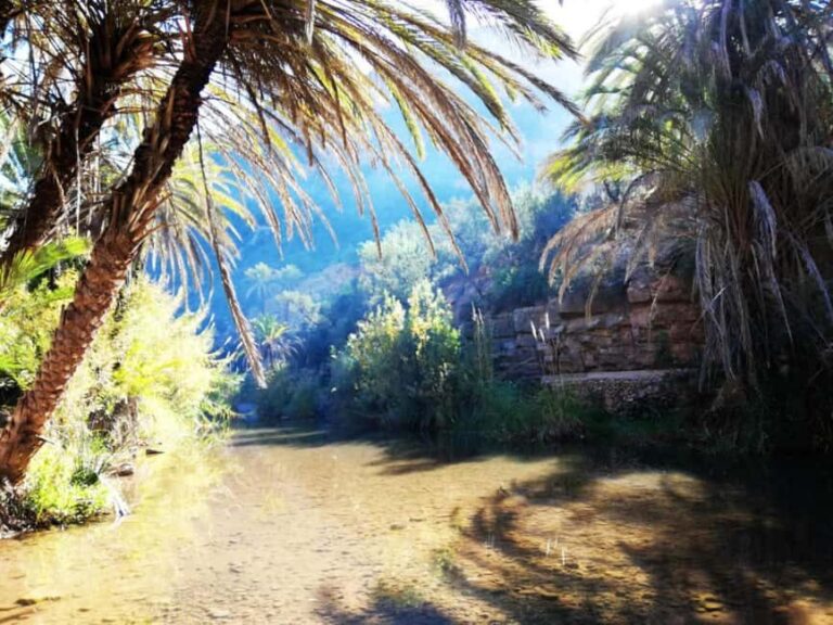 Agadir or Taghazout: Paradise Valley Atlas Mountains Trip - What to Expect on the Tour