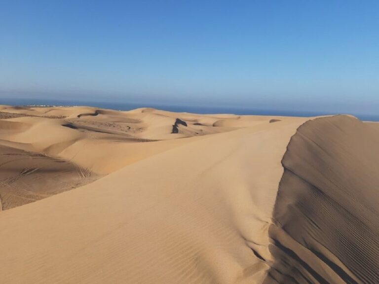 Agadir: Paradise Valley & Desert Sand Dunes with Camel Ride - Who Should Consider This Tour?