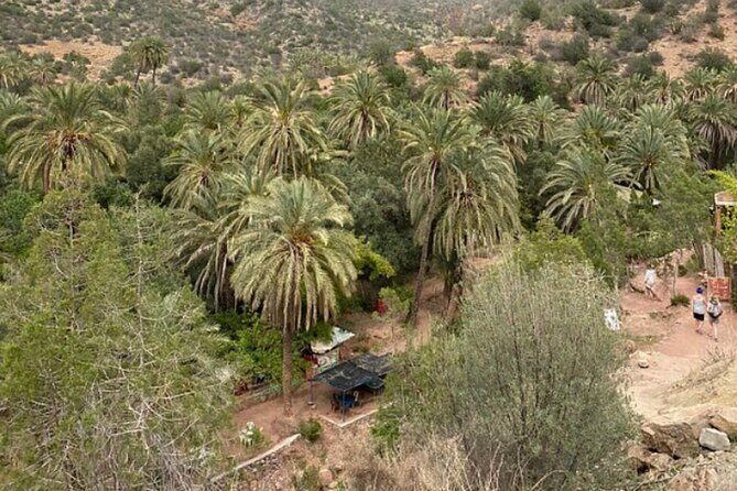 Agadir Paradise Valley with Mountain with breakfast - A Practical Look at the Agadir Paradise Valley with Mountain and Breakfast Tour