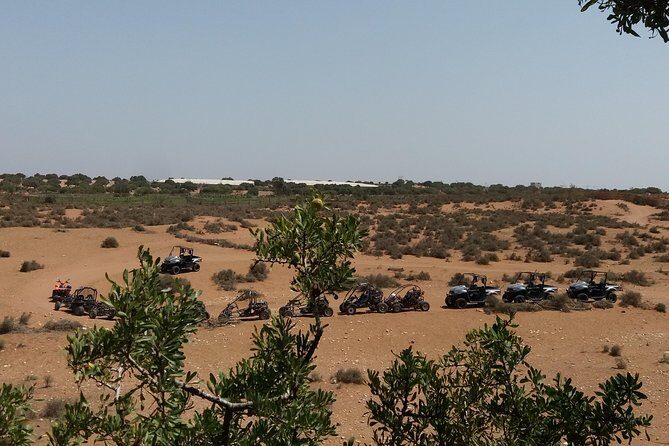 Agadir Quad Half Day - What to Expect from the Experience