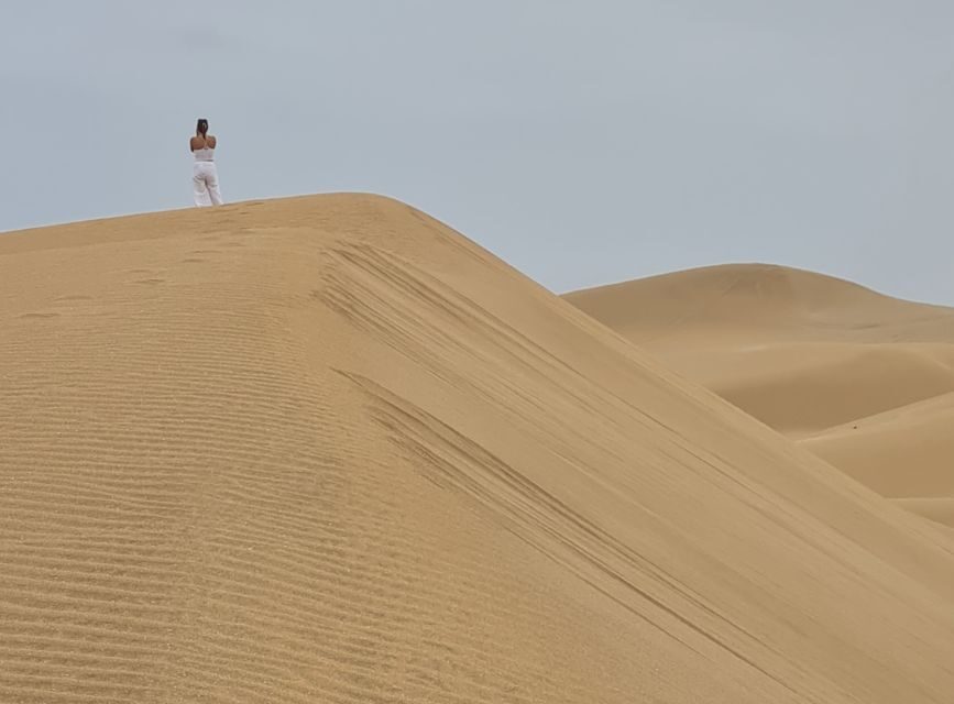 Agadir: Sahara Desert Camel ride & Sandboarding Halfday Trip - Authentic Experiences and Genuine Feedback