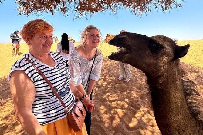 Agadir Sahara Desert with Lunch and Camel Ride - What Travelers Say