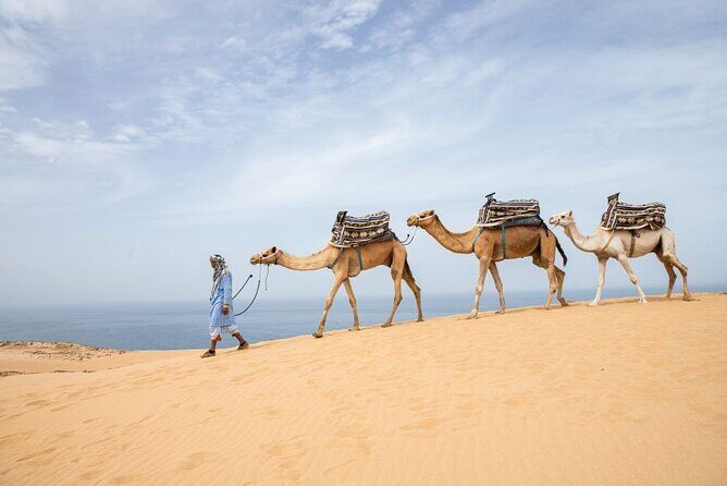 Agadir Sand Dunes and Camel Ride in Tifnit with Lunch - Authenticity and Value