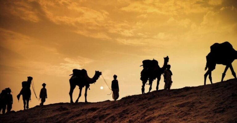 Agadir: Sunset Camel Ride - Flamingo River BBQ & Couscous - The Itinerary in Detail