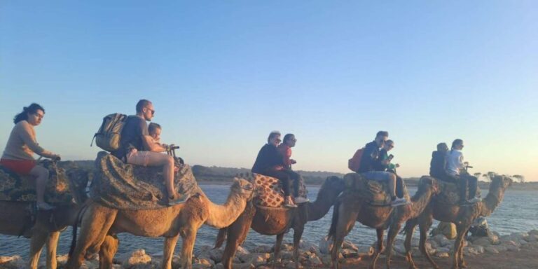 Agadir :Sunset Camel Ride with BBQ Dinner & Transfer - Who Is This Tour Best For?