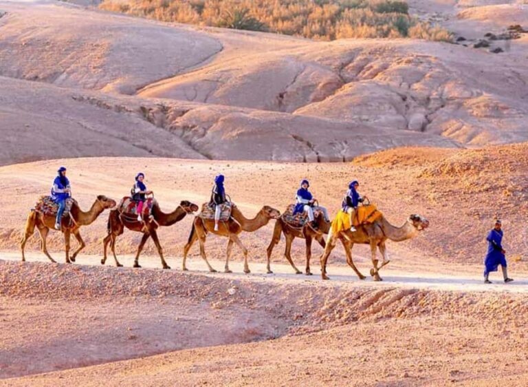 Agadir: Sunset Camel Ride with Local Music and Dinner - The Experience: A Closer Look