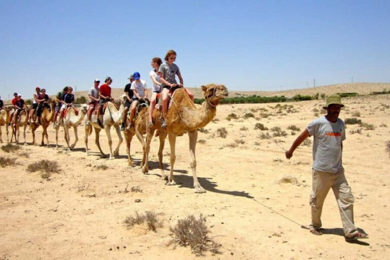 Agadir/Taghazout: Camel Ride with Tea Drink and Transfers - Cultural and Scenic Highlights